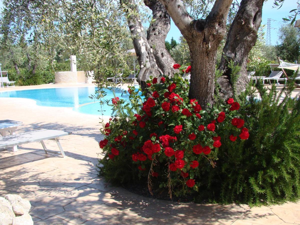 Agriturismo I Tesori Del Sud Vieste, Puglia 外观 照片